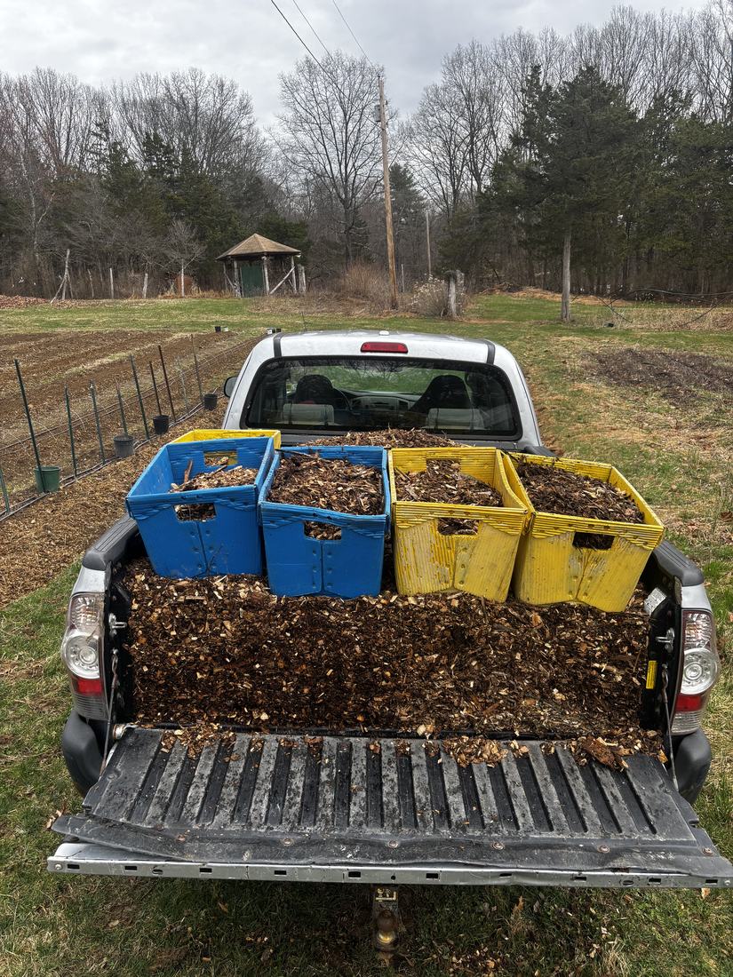 A truck bed loaded with wood chip mulch